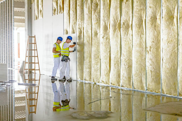 Best Insulation Maintenance and Repair in Fremont, NE